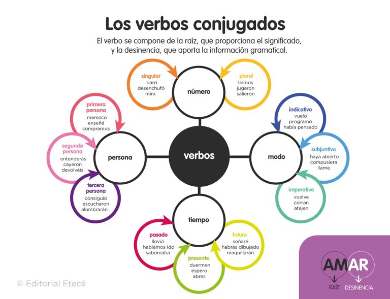 50-ejemplos-de-los-verbos-y-sus-conjugaciones