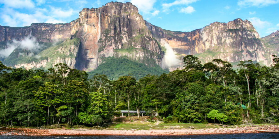 Bosque del Parque Nacional Canaima