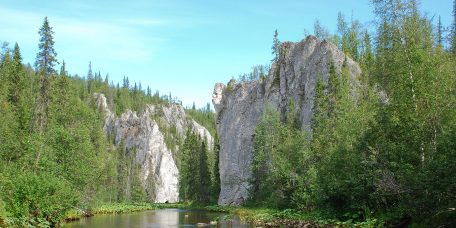 Bosques vírgenes de Komi