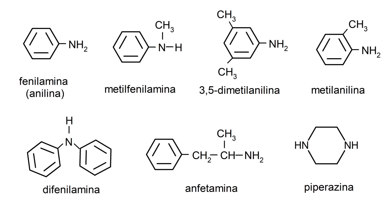 20 Ejemplos De Aminas