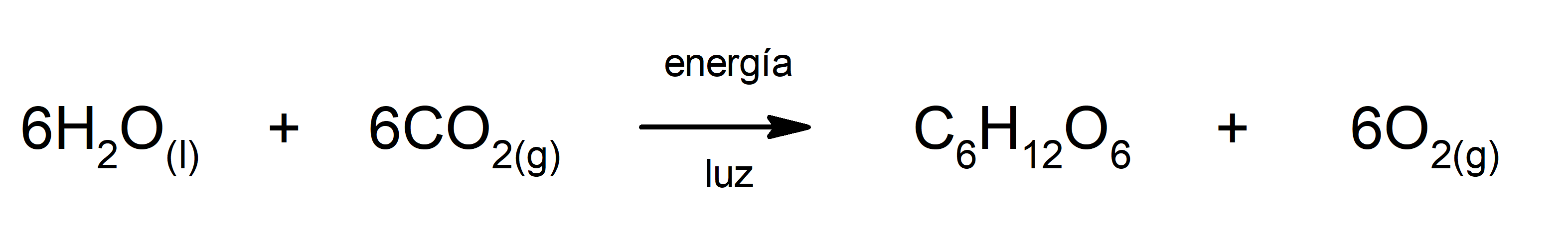 Reacciones endotérmicas