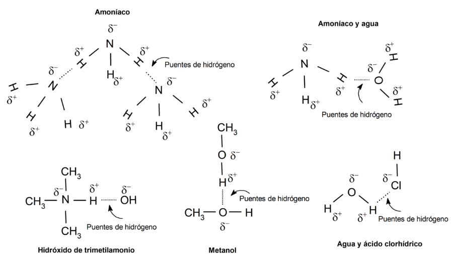 Ejemplos de puentes de hidrógeno