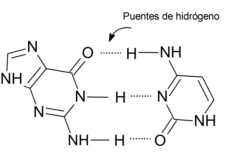 Enlaces intramoleculares